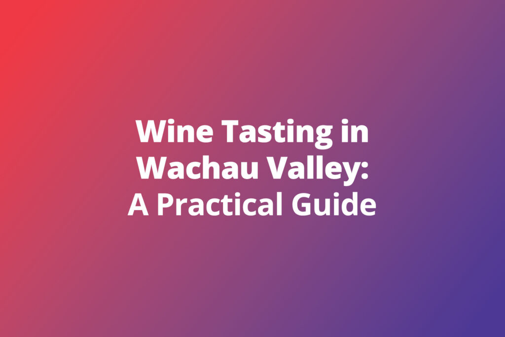 Wine Tasting in Wachau Valley: A Practical Guide